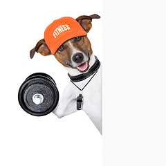 Image showing fitness dog  banner