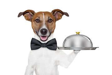 Image showing dog service tray