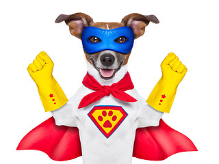 Image showing super hero dog