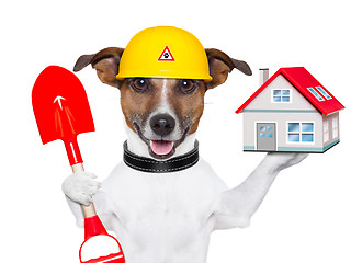 Image showing home dog builder