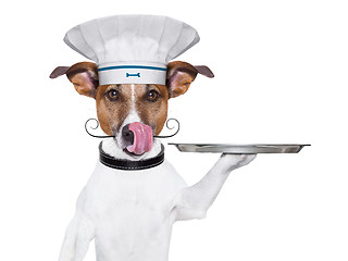 Image showing dog cook chef 