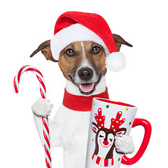 Image showing xmas dog with cup and candy cane