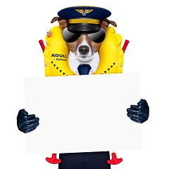 Image showing pilot dog