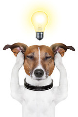 Image showing smart intelligent dog