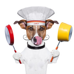 Image showing dog cook chef 