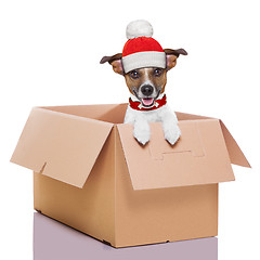 Image showing moving box winter dog