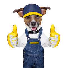 Image showing Craftsman dog 