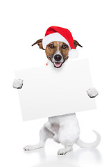 Image showing christmas dog placeholder