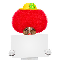 Image showing clown dog with red wig and hat