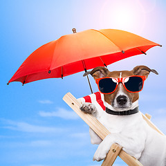 Image showing dog sunbathing on a deck chair