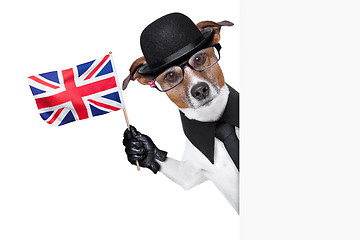 Image showing british dog  banner