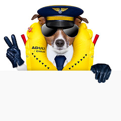 Image showing pilot dog