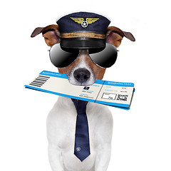 Image showing boarding pass dog 