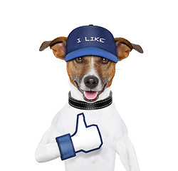 Image showing i like dog 