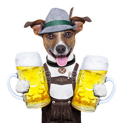 Image showing oktoberfest dog