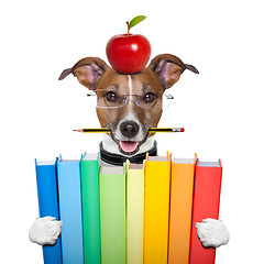 Image showing dog and books