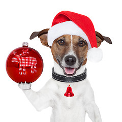 Image showing santa dog with  christmas ball on paw