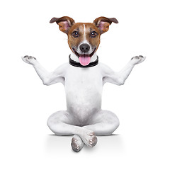 Image showing yoga dog