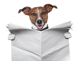 Image showing dog blank newspaper