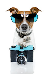 Image showing dog photographer 