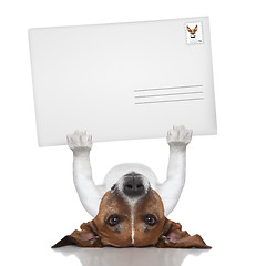 Image showing mail dog 