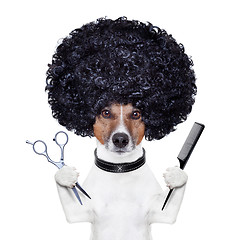 Image showing hairdresser  scissors comb dog 