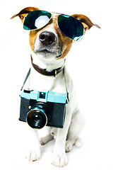 Image showing dog photo camera