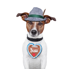 Image showing dog oktoberfest