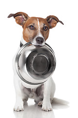 Image showing hungry dog food bowl