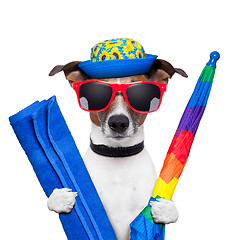Image showing dog summer holidays 