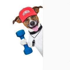 Image showing fitness dog  banner