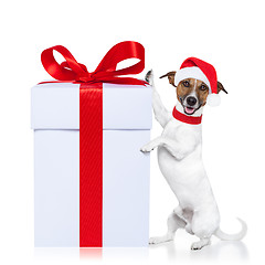 Image showing christmas dog santa 