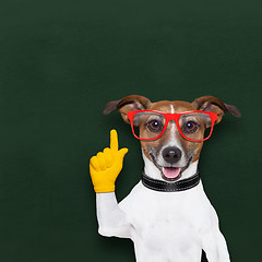 Image showing smart school dog