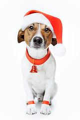 Image showing christmas dog santa