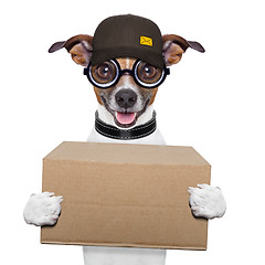 Image showing dog delivery post
