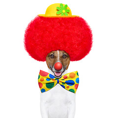 Image showing clown dog with red wig and hat