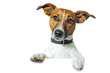 Image showing dog banner placeholder