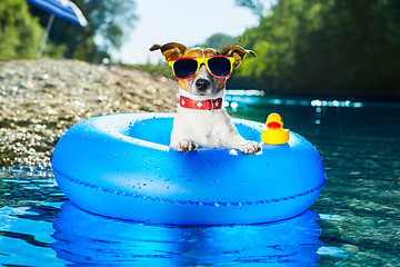 Image showing beach dog