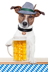 Image showing dog oktoberfest