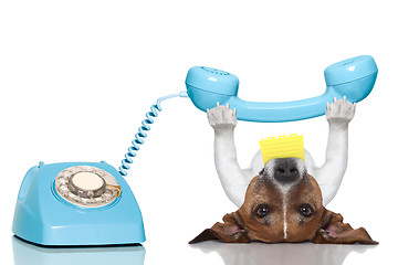 Image showing dog telephone