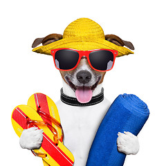 Image showing summer beach dog 