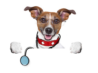Image showing medical doctor dog
