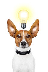 Image showing Dog idea