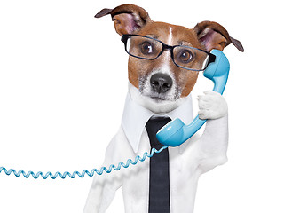 Image showing business dog on the phone 