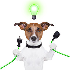 Image showing eco dog