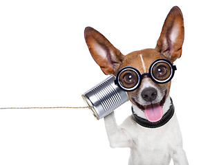 Image showing dog on the phone