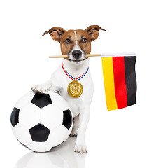 Image showing dog as soccer with medal and  flag
