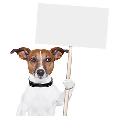 Image showing banner dog