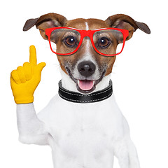 Image showing smart school dog