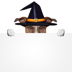 Image showing halloween placeholder banner dog